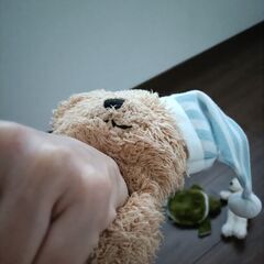ぬいぐるみ5点の画像