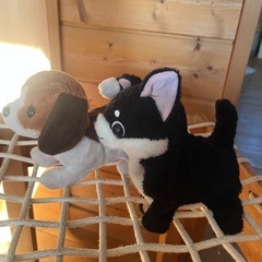 動く子犬の画像