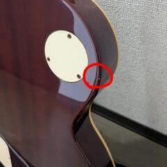 Epiphone Les Paul Model Standard Pro(ソフトケース・マルチエフェクター付き)の画像