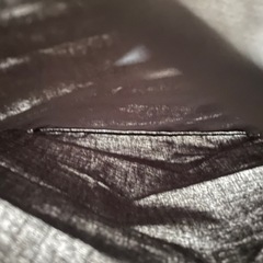 CHANEL シャネル 保存袋 ポーチの画像