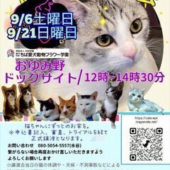 保護猫ちゃんと里親様のお見合い