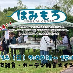 9/14　小さな多肉青空市「はみもろ」開催