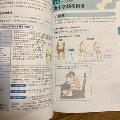 整形外科の疾患と治療の画像