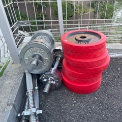 ウェイトトレーニング 　　の画像