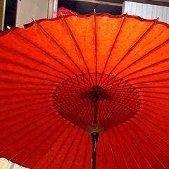 蛇の目傘の画像