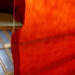 蛇の目傘の画像