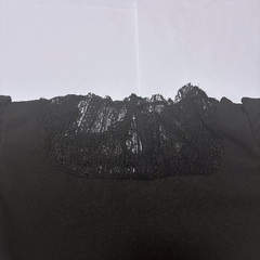 レースハイネック　変形スリーブトップスの画像