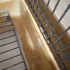 鶏　ゲージ　小動物の画像