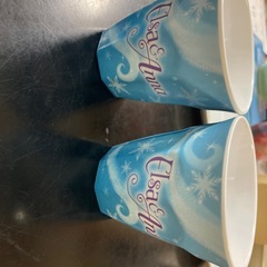 アナと雪の女王のコップとスヌーピーのおさらいの画像