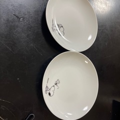 アナと雪の女王のコップとスヌーピーのおさらいの画像