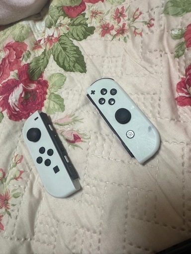 有機ニンテンドースイッチ