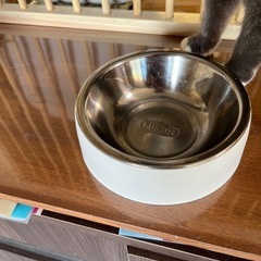 自動給餌機　iseebiz 3L の画像