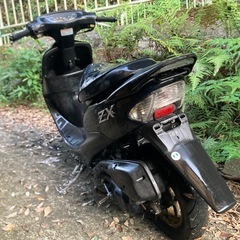 ホンダライブディオAF35規制前 前期 本物ZX の画像