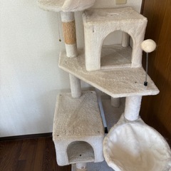 キャットタワーの画像
