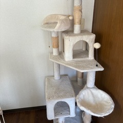 キャットタワーの画像