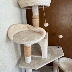 キャットタワーの画像