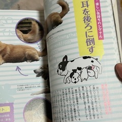 犬の気持ちがわかる本 愛犬ともっと仲良くなれる入門書の画像