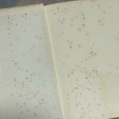 さらに幻想を語る 岸田秀 哲学 思想 社会学の画像
