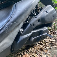 ホンダライブディオAF34 AF35前期ZX仕様 始動確認済の画像
