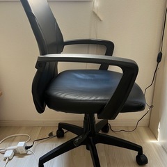 決まりました：ディスクチェアの画像