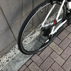 Khodaa Bloom FARNA 700-105の画像