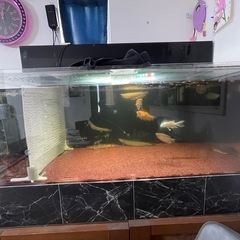 120×60×45 水槽セットの画像