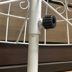 レディース用　トルソーの画像
