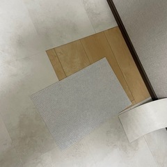 【お譲り予定の方が決まりました】ピタフィー　LPF701の画像