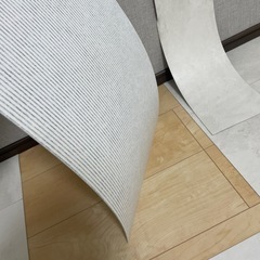 【お譲り予定の方が決まりました】ピタフィー　LPF701の画像