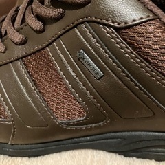 更新　GORE-TEX ミズノ　OD 100GTX7　未使用ウォーキングシューズの画像