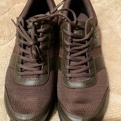 更新　GORE-TEX ミズノ　OD 100GTX7　未使用ウォーキングシューズの画像