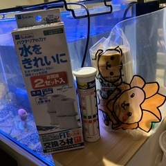 ネオンテトラ2 オトシンクルス2 水槽一式の画像