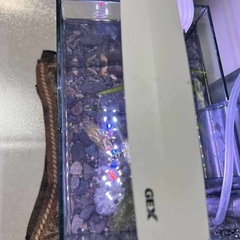 25cm 水槽一式セット　　の画像