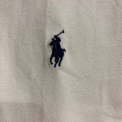 ポロラルフローレン　レディースＭの画像
