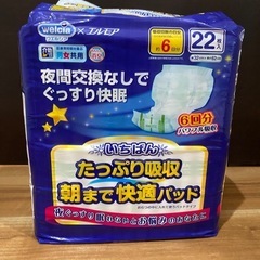 エルモア　いちばん　たっぷり吸収朝まで快適パッド 22枚入　9個 の画像