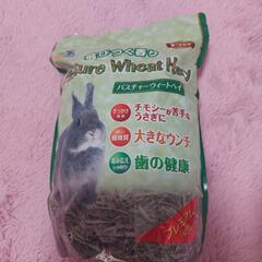 新品､未開封☆ウサギちゃんの草5点の画像