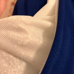 トゥルースリーパーTrueSleeper抱き枕の画像