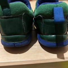 NIKE 　ダイナモフリーの画像