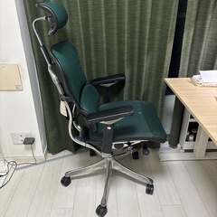 【ジャンク品】エルゴヒューマン プロの画像