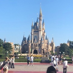 東京ディズニー　〜インパ仲間募集中〜　9月中の(日)(月)
