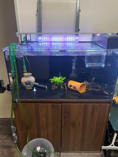 ※急募、900水槽セット、熱帯魚、古代魚、アクアリウム