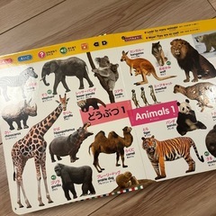 はじめてずかんの画像