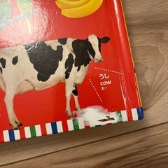 はじめてずかんの画像