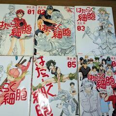 はたらく細胞 全6巻 ＋はたらく細胞BLACK 全8巻の画像
