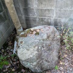 【無料】庭石 景石 唯一無二 お譲りします（100cm角×1、50cm角×2）の画像