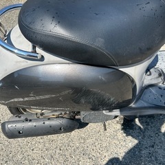 スクーピー　放置車　不動の画像
