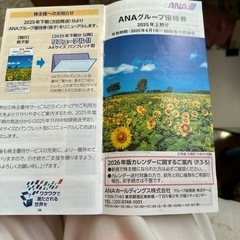 ANAの割引チケット綴り一式の画像