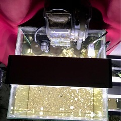 ガラス水槽 キューブ 30cm LED ライト その他 飼育セット　の画像