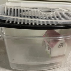 虫かご　小皿などの画像