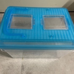 虫かご　小皿などの画像